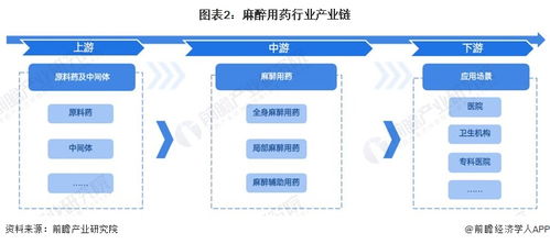 预见2024 2024年中国麻醉用药行业全景图谱 附市场现状 竞争格局和发展趋势等